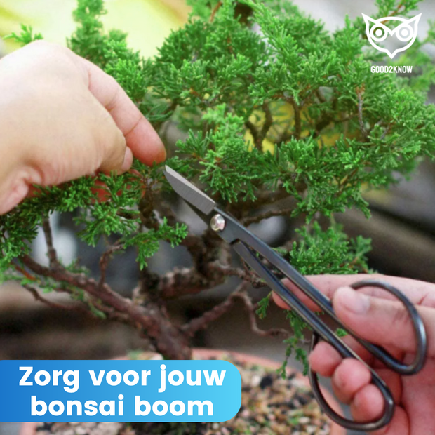 Good2know Bonsai Tool Set - 16 pieces - Bonsai Starters kit - Bonsai tree care kit - Basic set of garden tools 