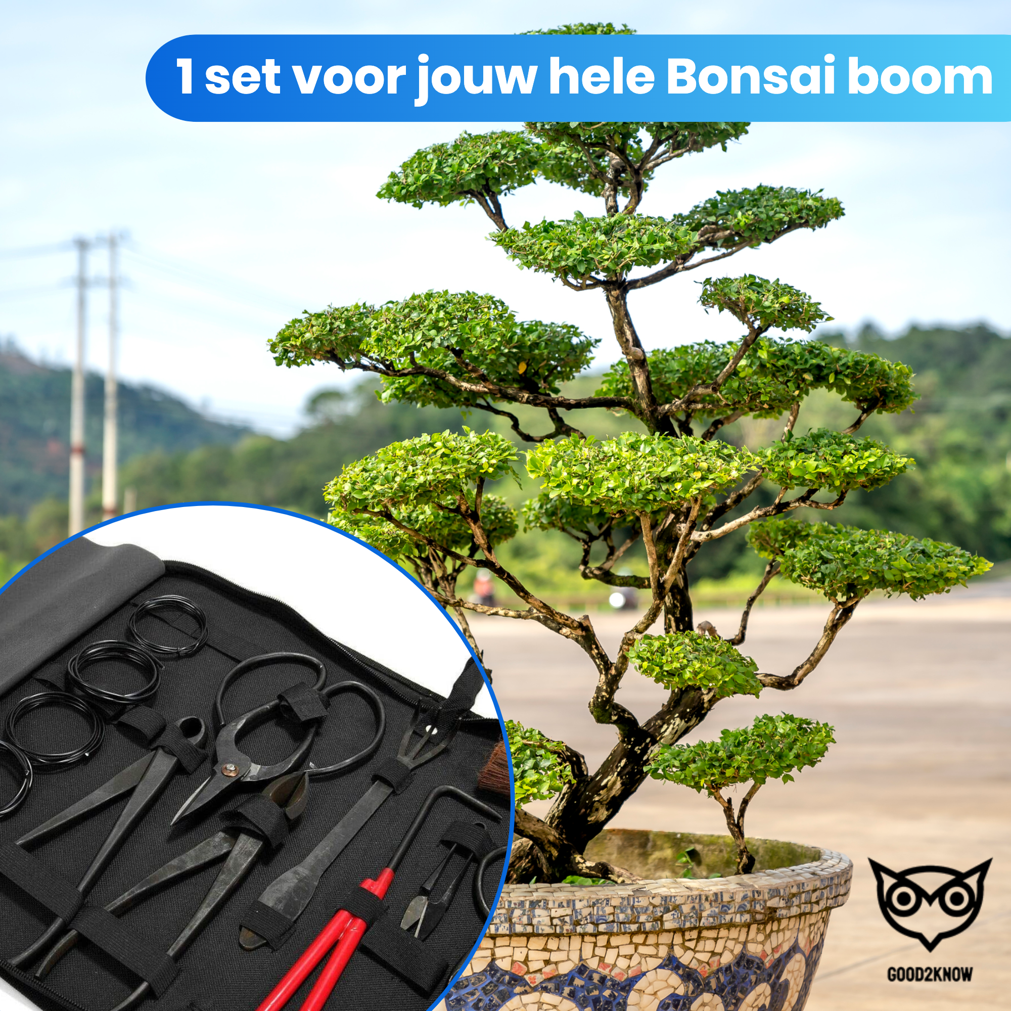 Bonsai Gereedschap Set 16 delig Starters kit Bonsai boompje verzorging