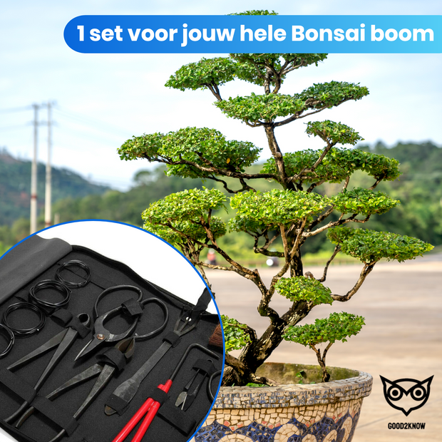 Good2know Bonsai Gereedschap Set – 16 delig – Bonsai Starters kit – Bonsai boompje verzorgingskit